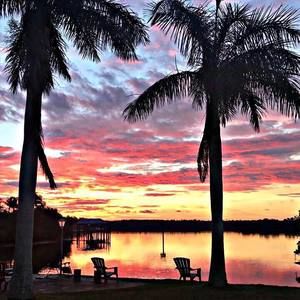 Meet your Posher, Dawson